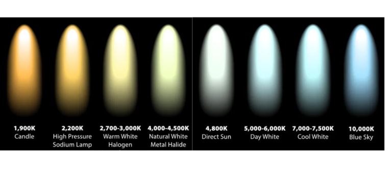 Eficiência visual e eficiência energética em projetos de iluminação